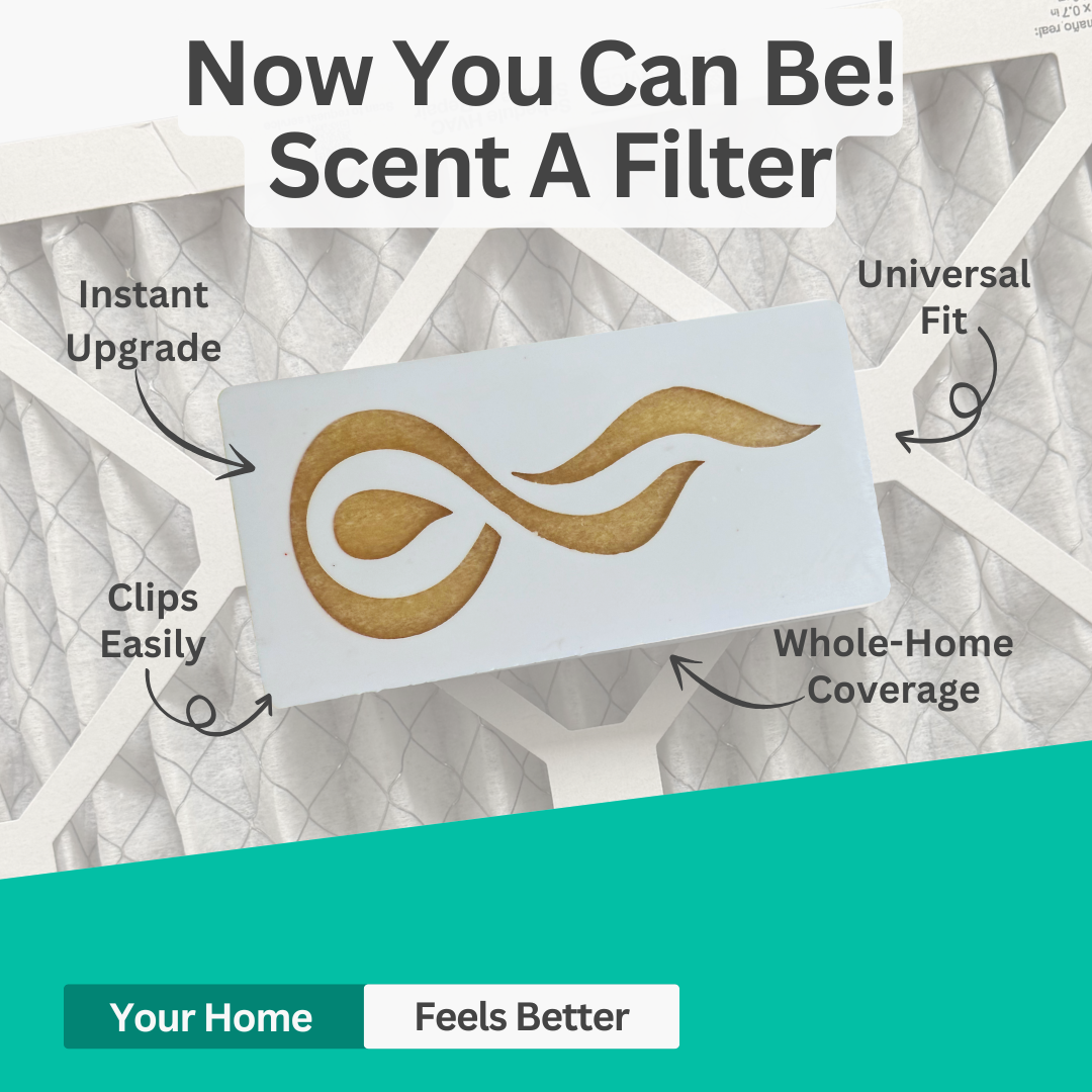 Scent A Filter Air Diffuser