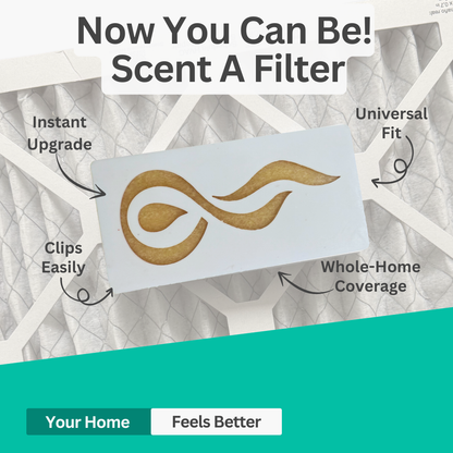 Scent A Filter Air Diffuser