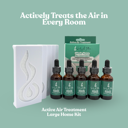 Scent A Filter Large Home Kit