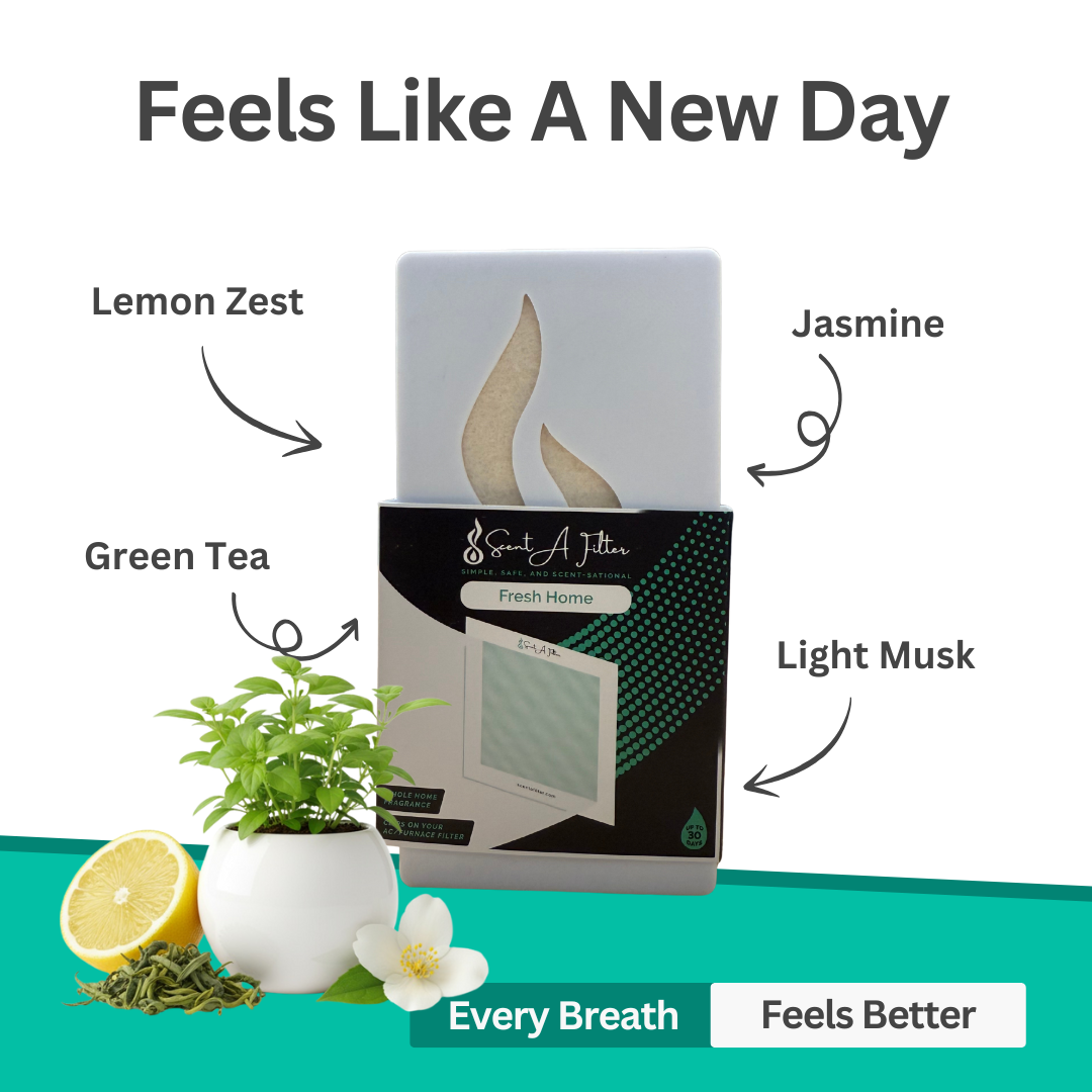 Scent Booster 3 Pack