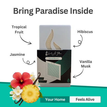 Scent Booster 2 Pack