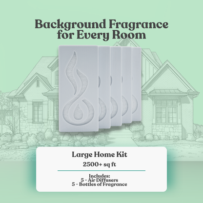 Scent A Filter Large Home Kit