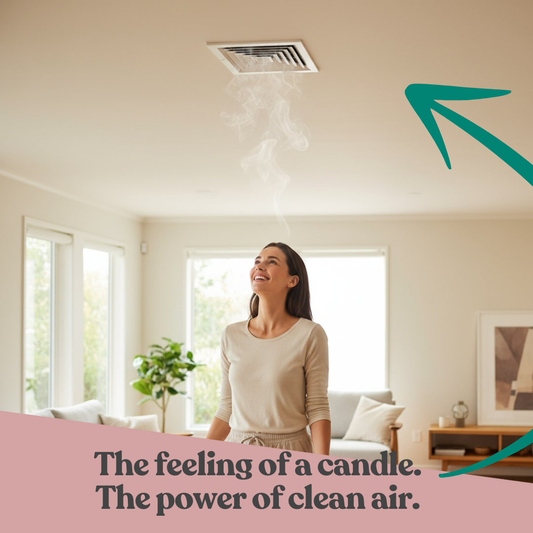 Scent A Filter Large Home Kit